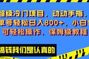 超級冷門項目,動動手指，單號輕松日入800 ，小白也可輕松操作，保姆級教程