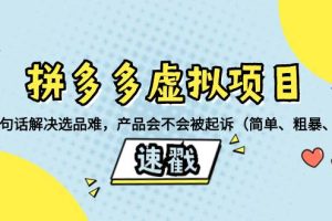 拼多多虛擬項目：三兩句話解決選品難，一個方法判斷產品容不容易被投訴，產品會不會被起訴（簡單、粗暴、好用）
