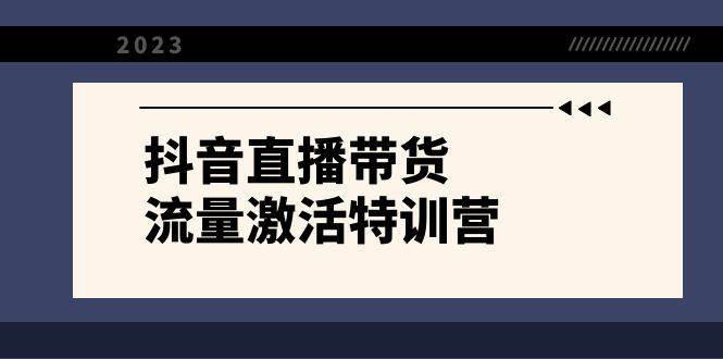 抖音直播帶貨-流量激活特訓(xùn)營，入行新手小白主播必學(xué)（21節(jié)課 資料）插圖