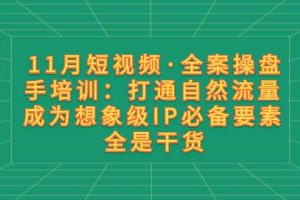 11月短視頻·全案操盤(pán)手培訓(xùn)：打通自然流量 成為想象級(jí)IP必備要素 全是干貨