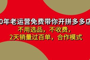 拼多多-合作開店日入4000+兩天銷量過百單，無學費、老運營教操作、小白…