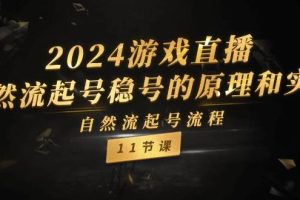 2024游戲直播-自然流起號(hào)穩(wěn)號(hào)的原理和實(shí)戰(zhàn)，自然流起號(hào)流程（11節(jié)）