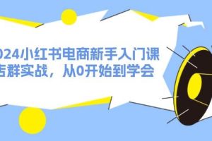 2024小紅書電商新手入門課，店群實戰(zhàn)，從0開始到學(xué)會（31節(jié)）