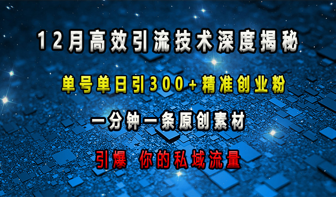 12月高效引流技術深度揭秘 ，單號單日引300+精準創業粉，一分鐘一條原創素材，引爆你的私域流量