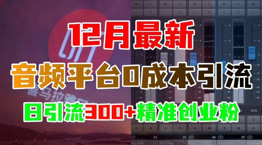 12月最新：音頻平臺0成本引流，日引300+精準創業粉