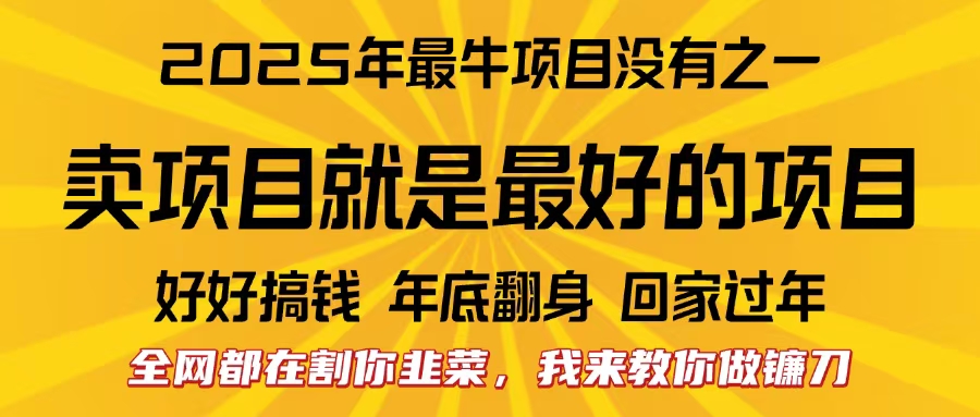 全網都在割你韭菜，我來教你做鐮刀。賣項目就是最好的項目，2025年最牛互聯(lián)網項目插圖