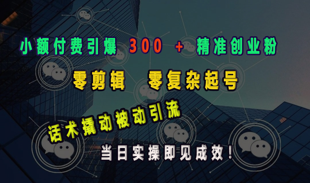 小額付費引爆 300 + 精準創(chuàng)業(yè)粉，零剪輯、零復(fù)雜起號，話術(shù)撬動被動引流，當日實操即見成效！