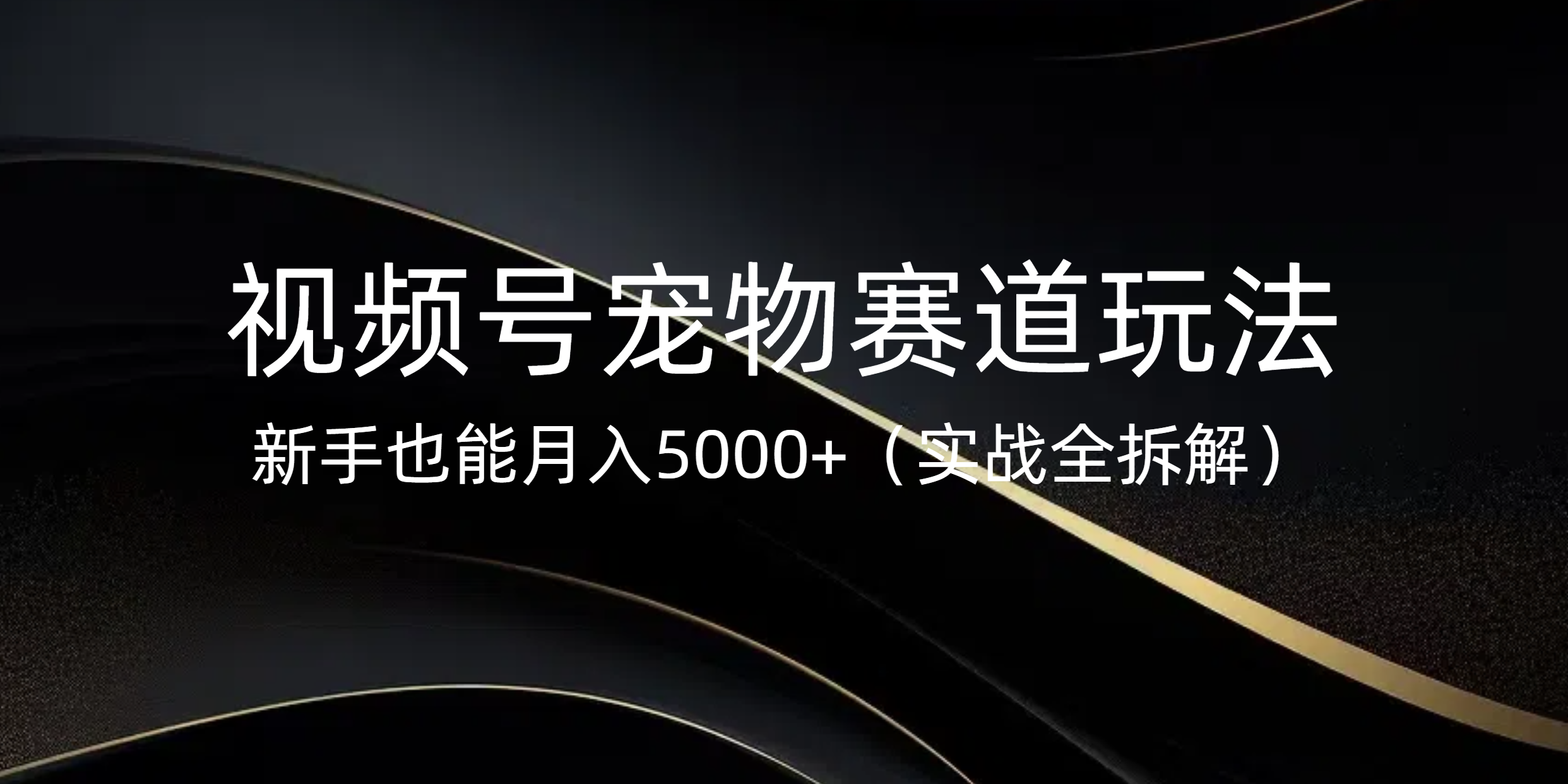 視頻號(hào)寵物賽道玩法，新手也能月入5000+（實(shí)戰(zhàn)全拆解）