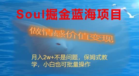 Soul掘金藍海項目細分賽道，做情感價值變現，月入2w 不是問題