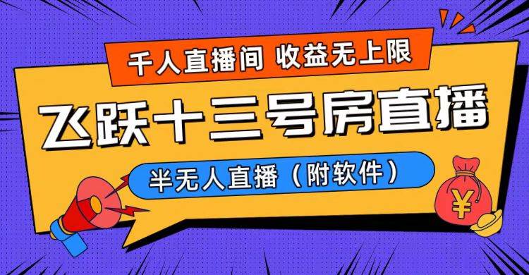爆火飛躍十三號房半無人直播，一場直播上千人，日入過萬！（附軟件）