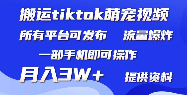 搬運Tiktok萌寵類視頻，一部手機即可。所有短視頻平臺均可操作，月入3W+